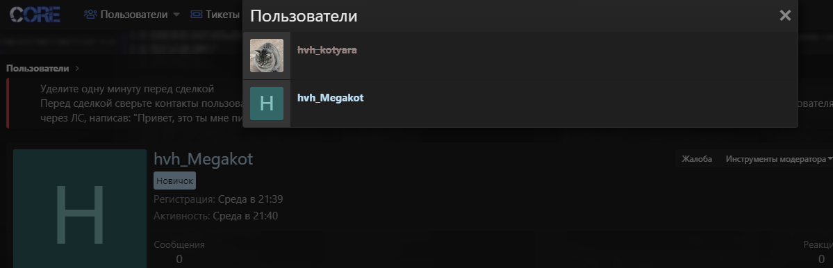 1607087042544.png