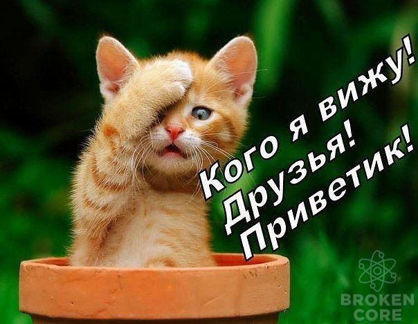 1610374526835.png