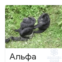 1613847774063.png