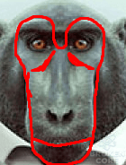 1623256955523.png