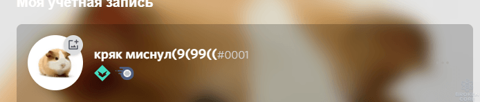 1623362891210.png