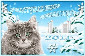 1654938967598.png