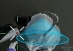 1655231388694.png