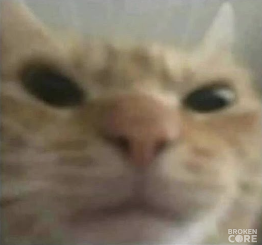1675021079952.png