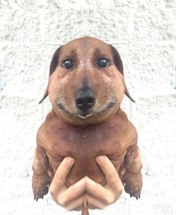 1687808579056.png