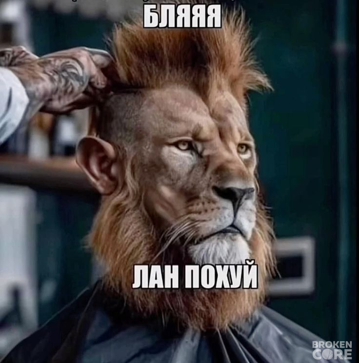 1747365788_new_подпишись.jpg