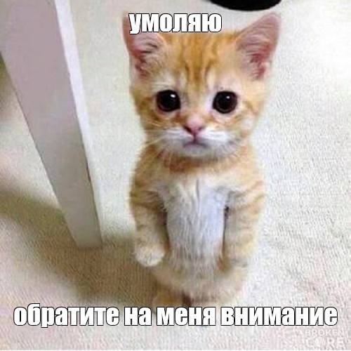 3c84ba8c419e23eaae4c7c2751d4f657.jpg