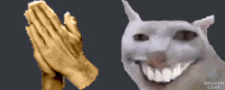 [brokencore.club]_funny_cat.gif