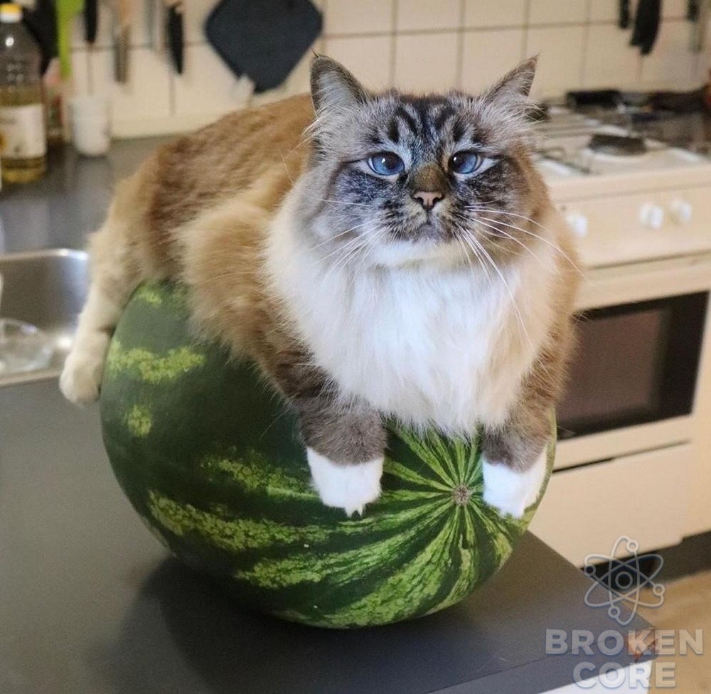 large.daily_picdump_005652_068.jpg.87d38571bd6e356e96971ea5cbf20bb3.jpg