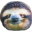 sloth.png