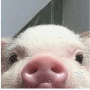 хрюк.png
