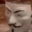 XSUwZM0.gif
