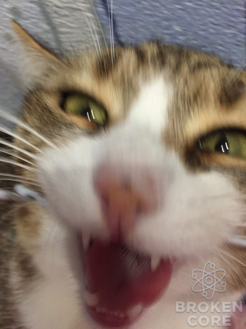 1605550669224.png