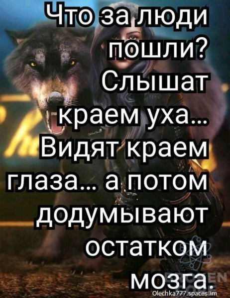 298295238.jpg
