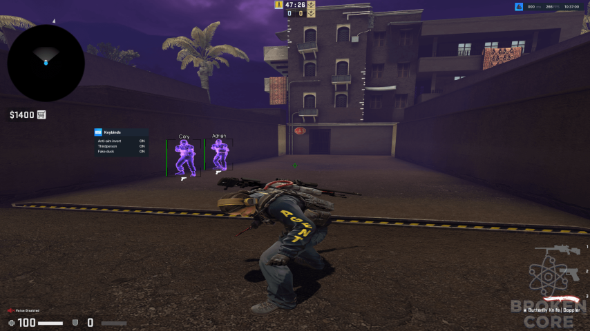Counter-strike  Global Offensive Screenshot 2021.08.03 - 10.37.00.36.png