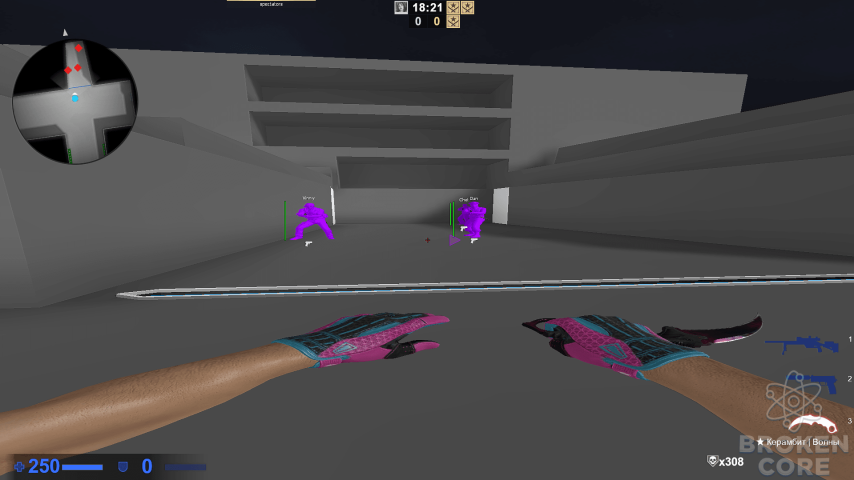 csgo_lwII3lKFVS.png