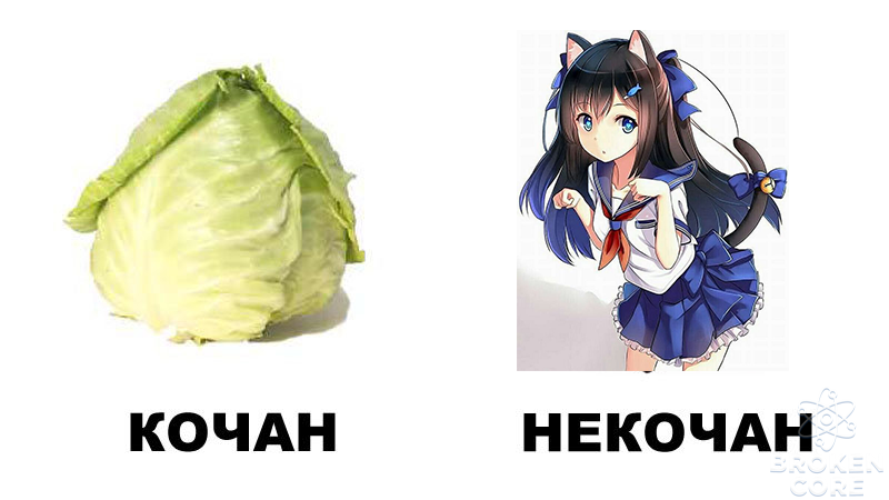 931bf73d93cba23b16007b614ea6581c.png