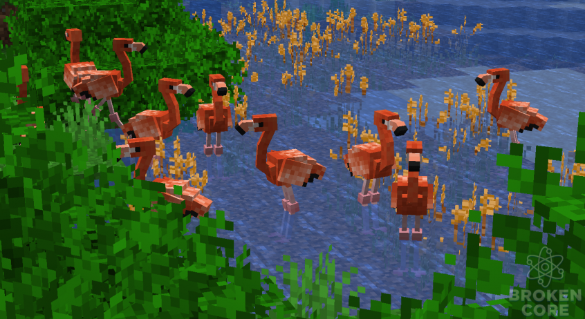 ArzherExoticBirds-img2.png