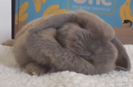 firefox_fwbVM2E8Ra.png