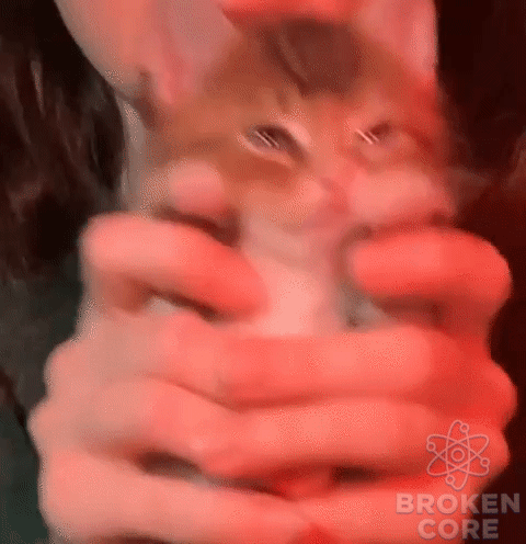 qAgKlI_bc1c898ba815cacd065bd0a67e06662b_00-00-00_00-00-03_1.gif