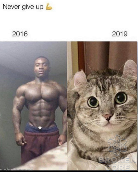 1656523030780.png
