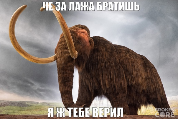 1670958001328.png