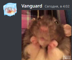 1672700557038.png