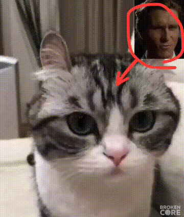 VID_20230624_114441_720.gif