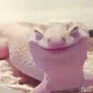1699076554450.png