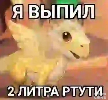 1703137465578.png
