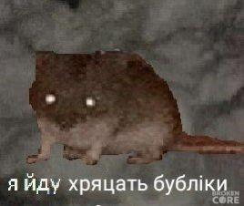 1703137585079.png