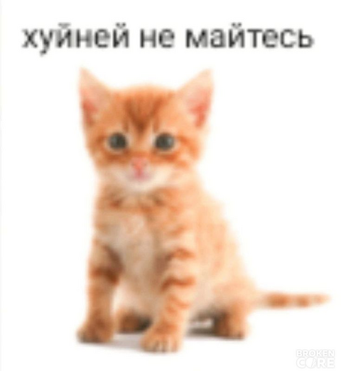 1734802351493.png
