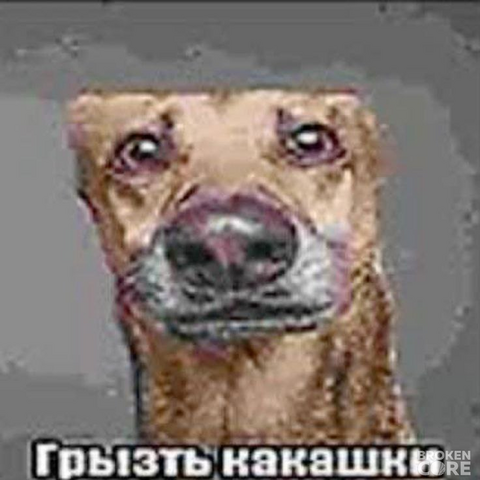 kakashki.png