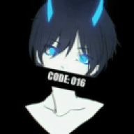 Code016