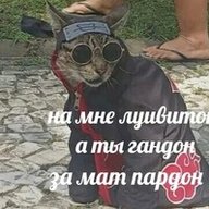 droitpedo