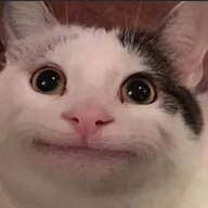 egorbuggr