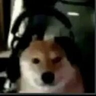 jemheadd1
