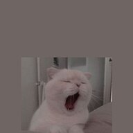 sdgsdgsdg