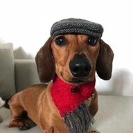 spydi