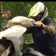 nokelik