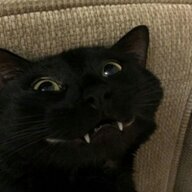 rt45bchtdd4645