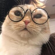 caxnagez