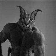 gigacat
