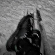 dsfsdfsdfaxxxx