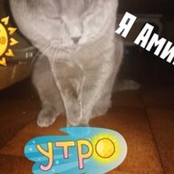 Amirka98901