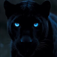 Black_Panther_1975