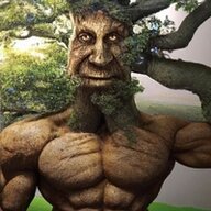 AMOGUSIK1