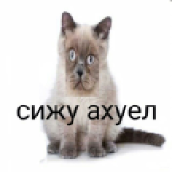 xoirs