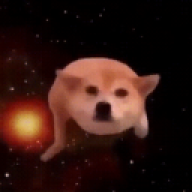 fgfgfgd