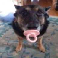 Hap